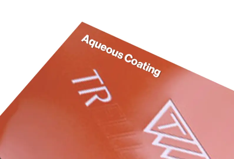 Aqueous Coating